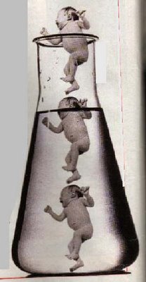 La clonaci&oacute;n humana: &iquest;El desaf&iacute;o del Siglo XXI?